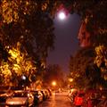 DSC02763.JPG